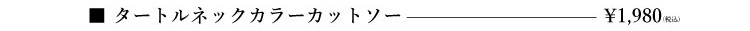 タートルネックカラーカットソー