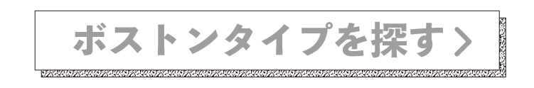 ボストンタイプを探す