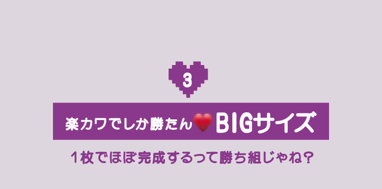 ③BIGサイズ