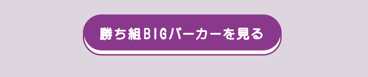 BIGパーカーアイテム