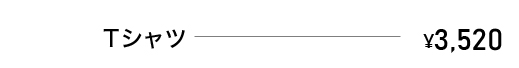 Tシャツ　￥3,520