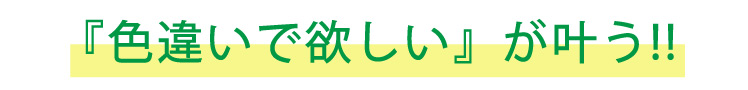 色違いで欲しいが叶う!