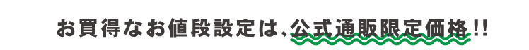 公式通販限定価格!