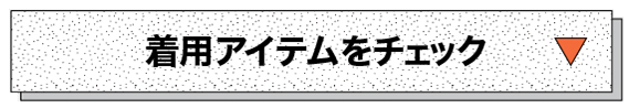 着用アイテムをcheck