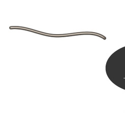 コーデ2上スペース