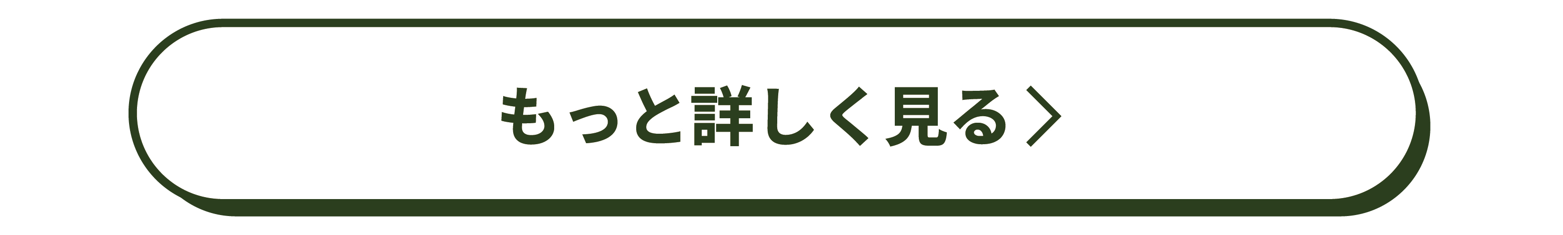 詳しく見る