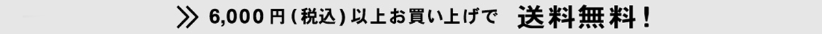 6000円以上で送料無料