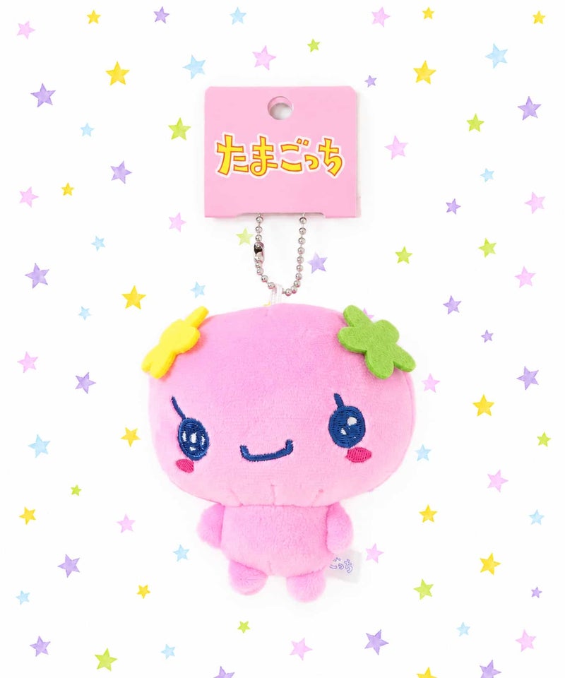 フラワッチ