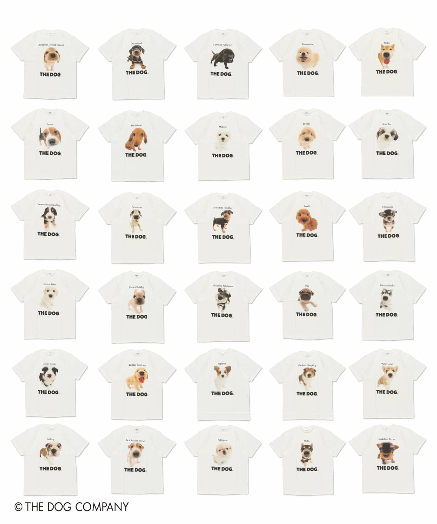 THE DOG×SPINNS 第一弾』 Tシャツ | SPINNS WEB STORE | SPINNS