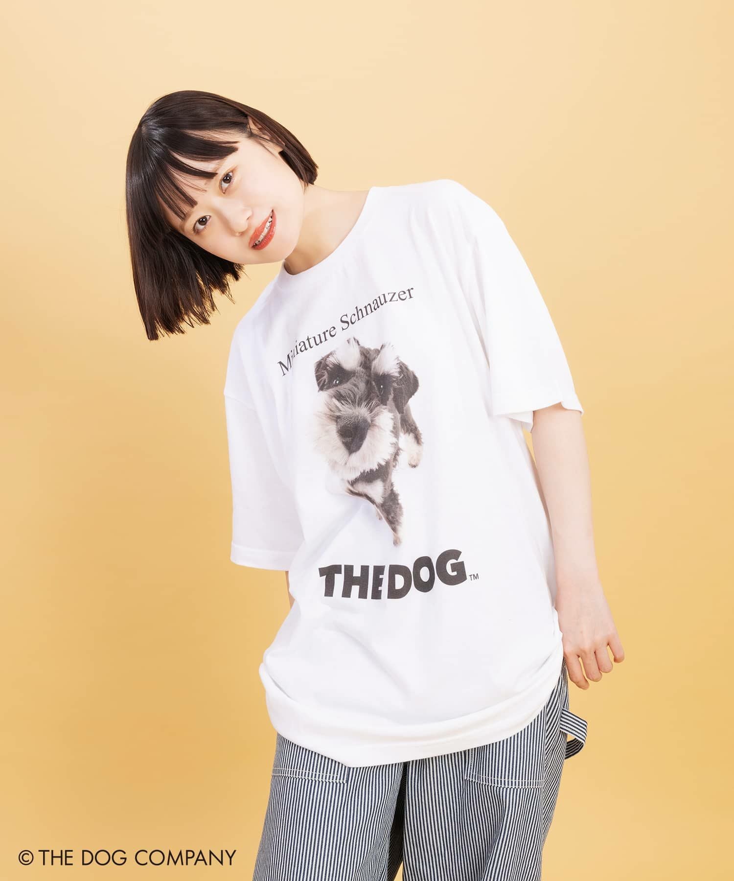 THE DOG×SPINNS 第一弾』 Tシャツ | SPINNS WEB STORE | SPINNS