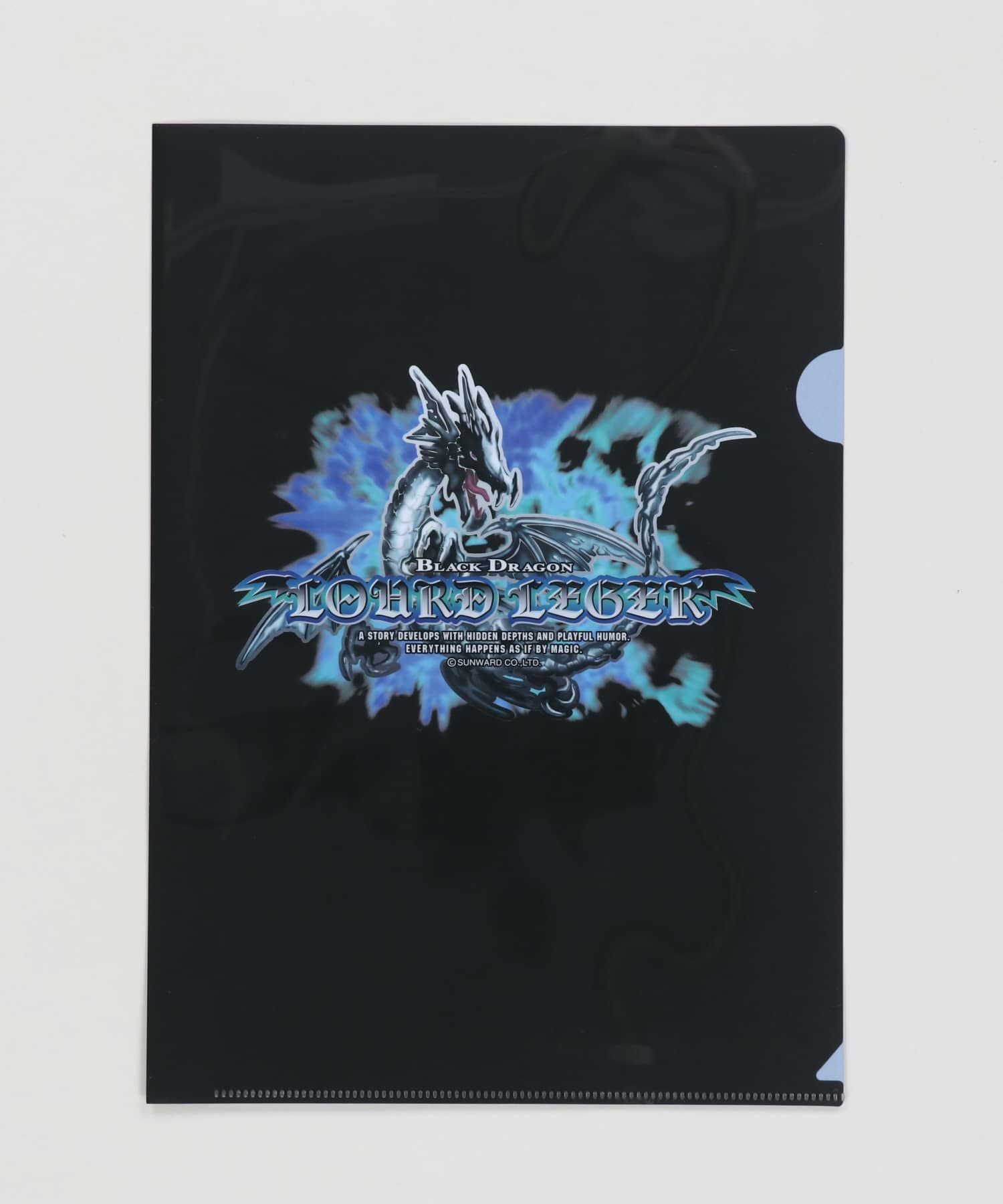 45%OFF】#家庭科ドラゴン/平成男児クリアファイル | SPINNS WEB STORE