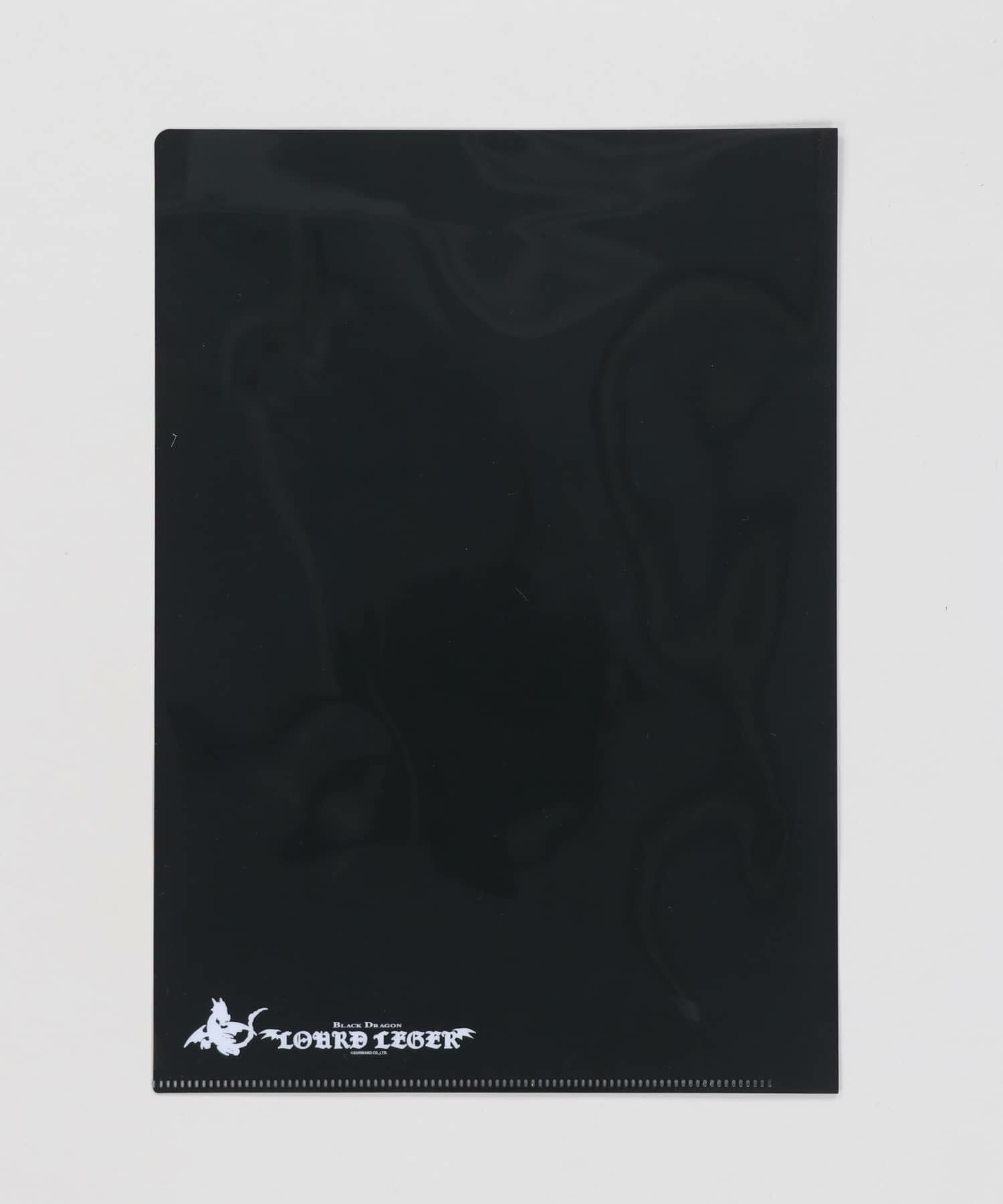 45%OFF】#家庭科ドラゴン/平成男児クリアファイル | SPINNS WEB STORE