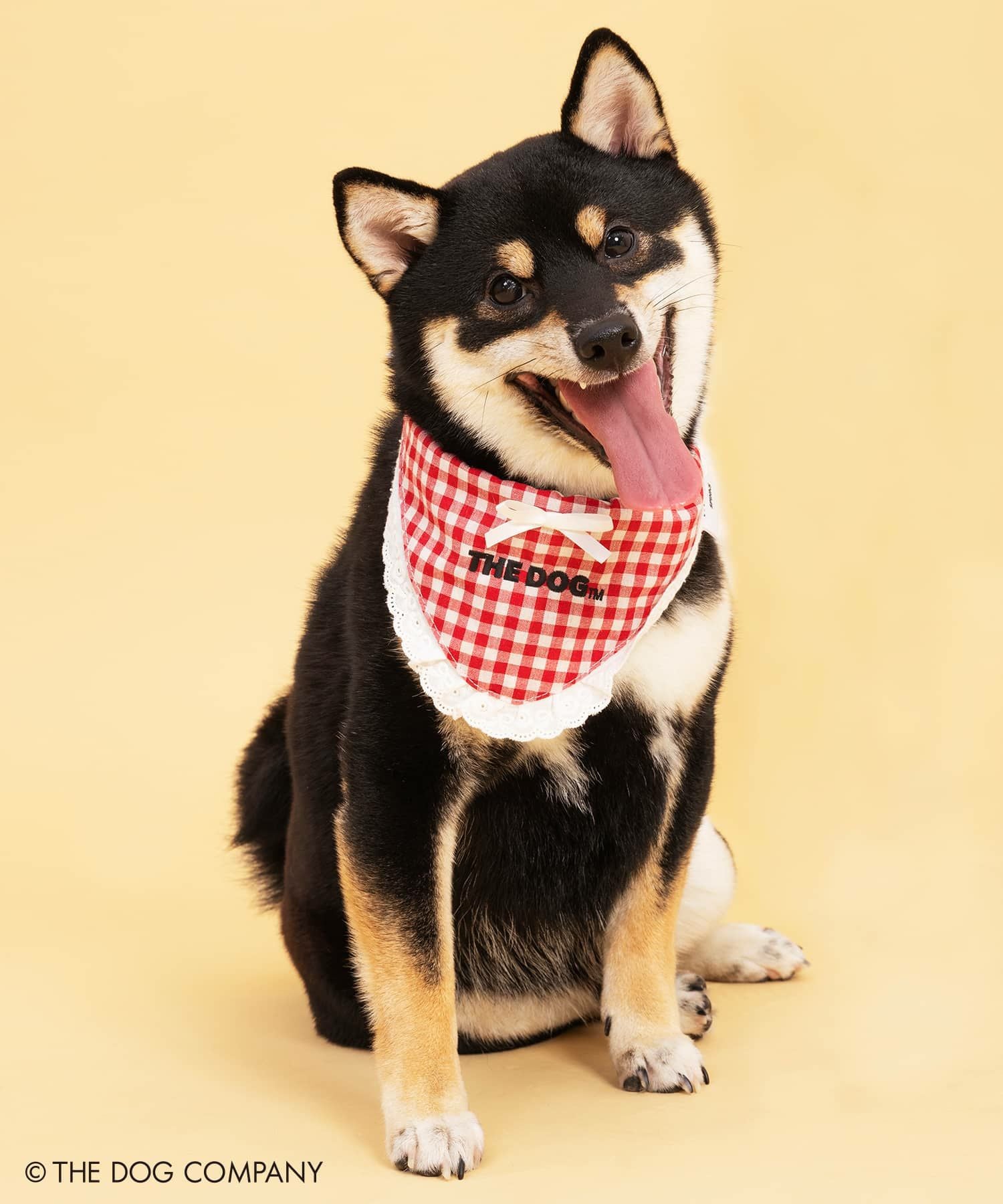 THE DOG×SPINNS 第二弾』 バンダナ | SPINNS WEB STORE | SPINNS