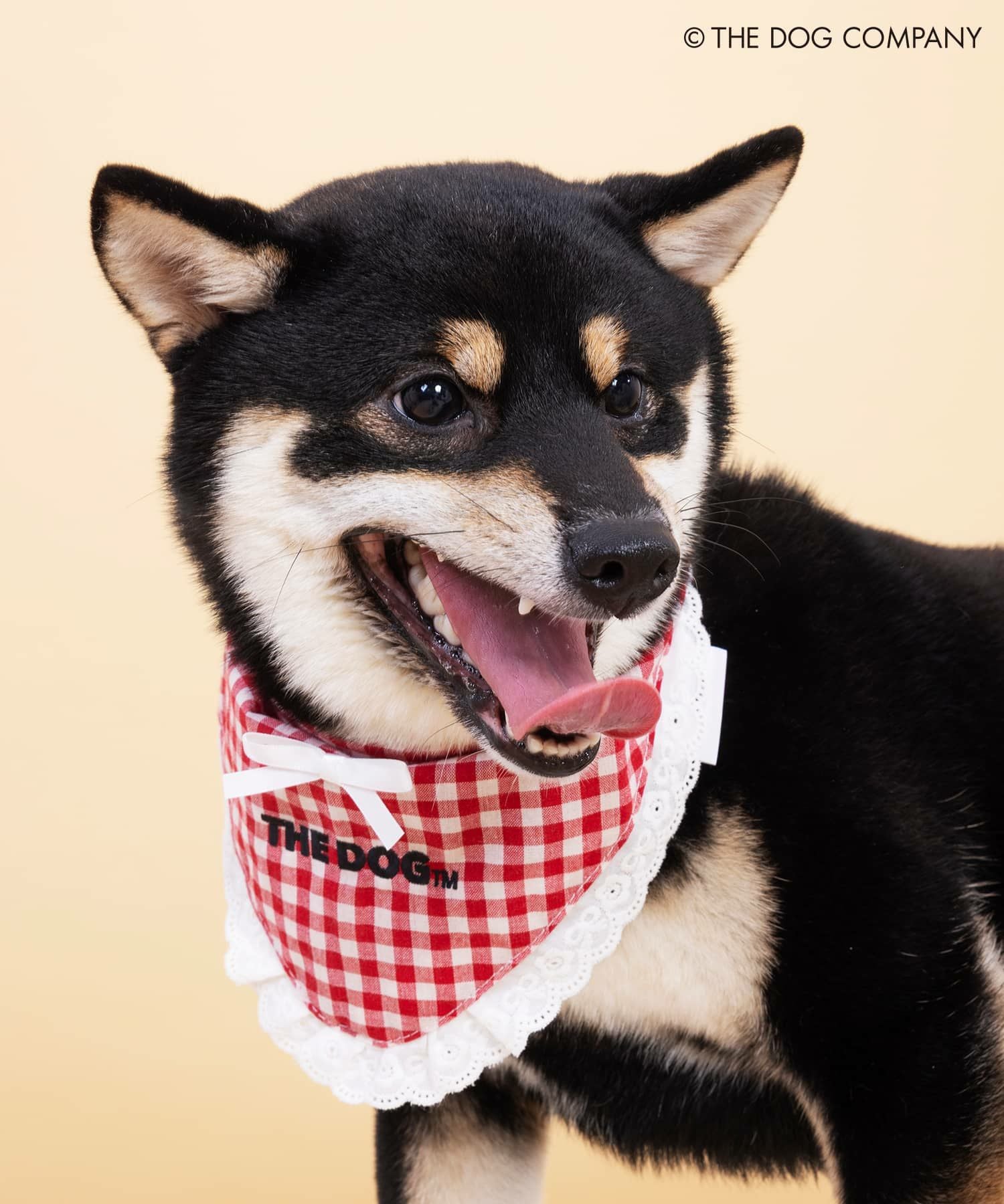 THE DOG×SPINNS 第二弾』 バンダナ | SPINNS WEB STORE | SPINNS