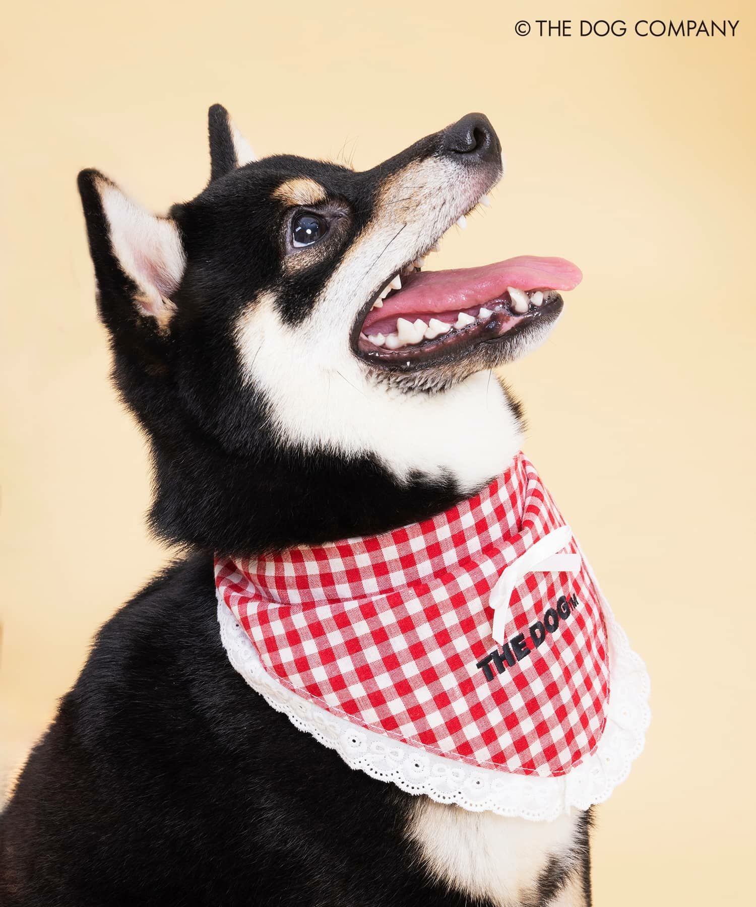 THE DOG×SPINNS 第二弾』 バンダナ | SPINNS WEB STORE | SPINNS