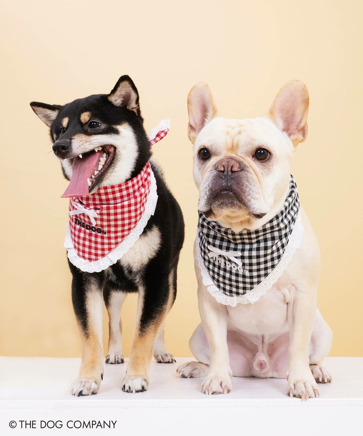 THE DOG×SPINNS 第二弾』 バンダナ | SPINNS WEB STORE | SPINNS