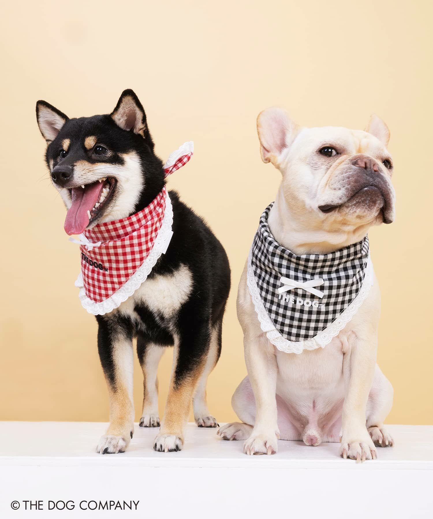 THE DOG×SPINNS 第二弾』 バンダナ | SPINNS WEB STORE | SPINNS