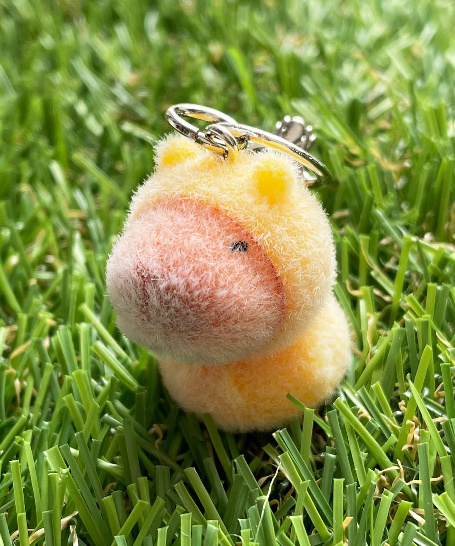ミニキーホルダー/カピバラ | SPINNS WEB STORE | SPINNS (スピンズ